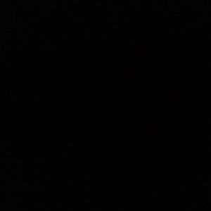 Meet your Posher, Jonah